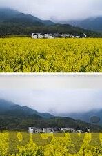 澳门足球比分球探网-澳门足球比分球探网，足球迷的智慧导航站