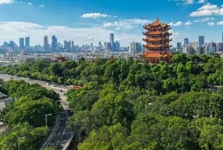 百家乐分析软件破解版-破解版百家乐分析软件，风险与警示