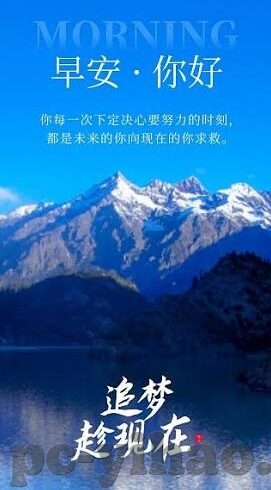 中超足球比分榜-中超足球比分榜，绿茵场上的风云变幻与数据背后的故事