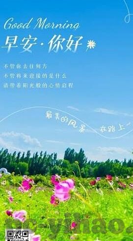 足球实时比分直播e-足球实时比分直播e，科技赋能绿茵场，畅享激情每一刻